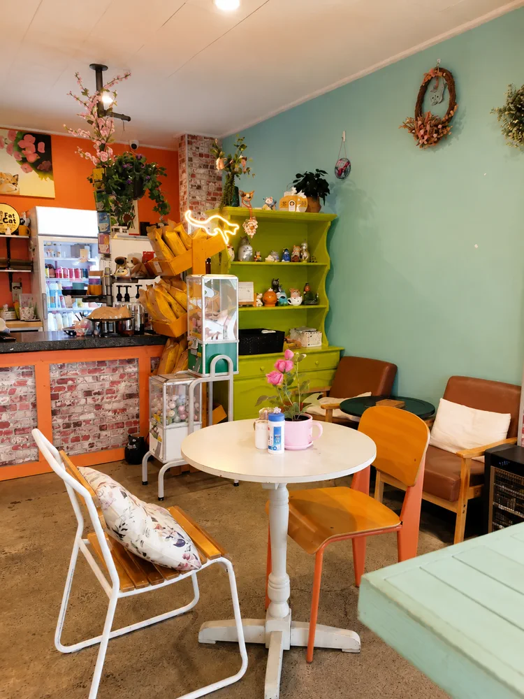 Colourful seating area inside Fat Cat Street Coffee